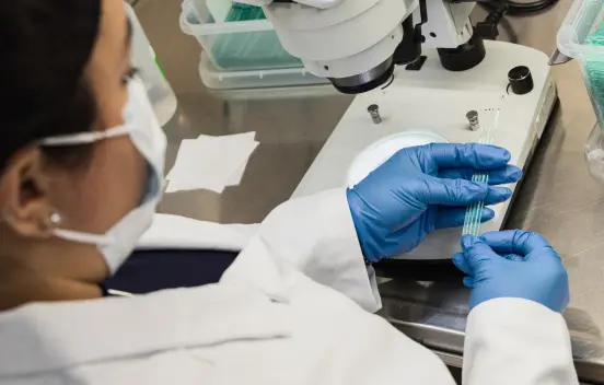 Bionictech Labs Inc - hands laboratory 4