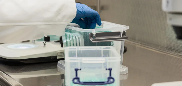 Bionictech Labs Inc - Laboratory hands