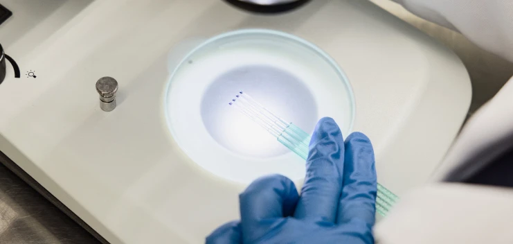 Bionictech Labs Inc - hands laboratory