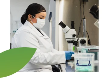 Biotech-laboratory-mobile